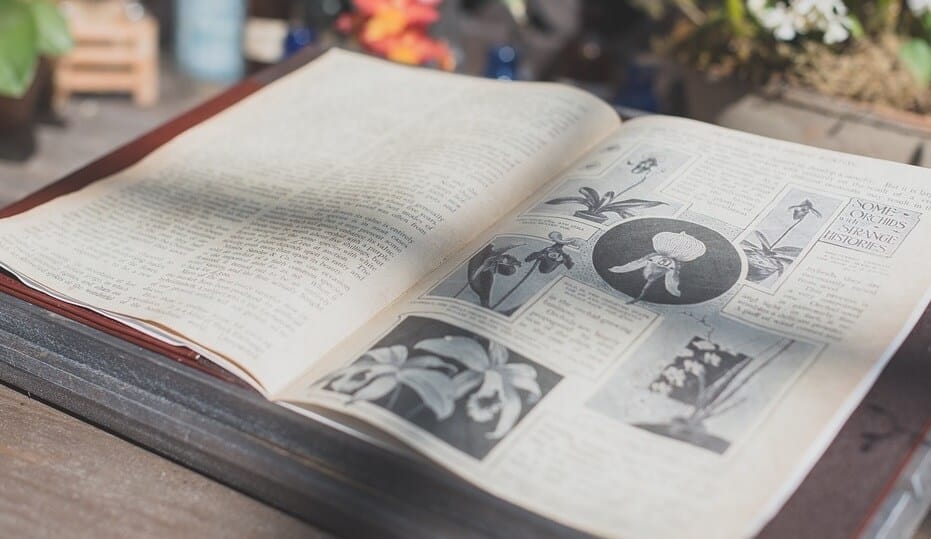 meilleure encyclopedie