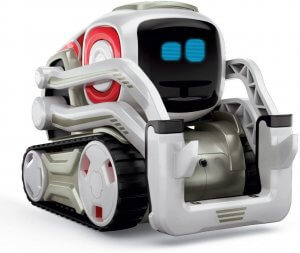 anki